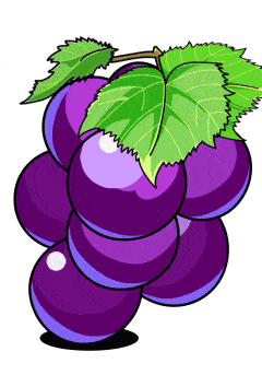 240_343 竖版 竖屏