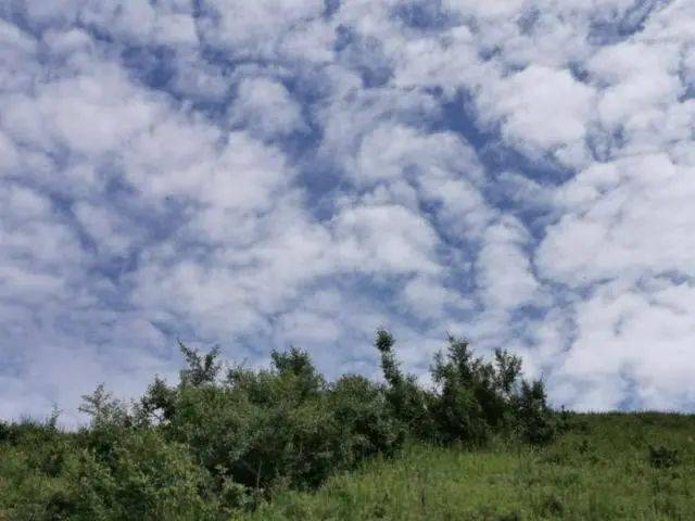 09b0287615384a52962270d4b78e9be8.jpeg