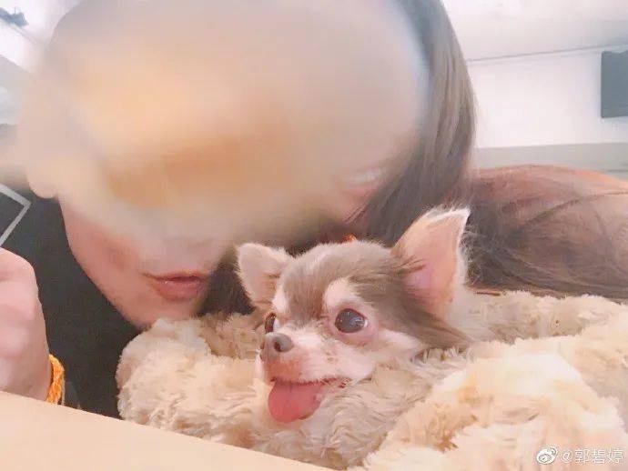 这回怀孕实锤了吧？之前老公暗示婆婆否认又是什么操作…