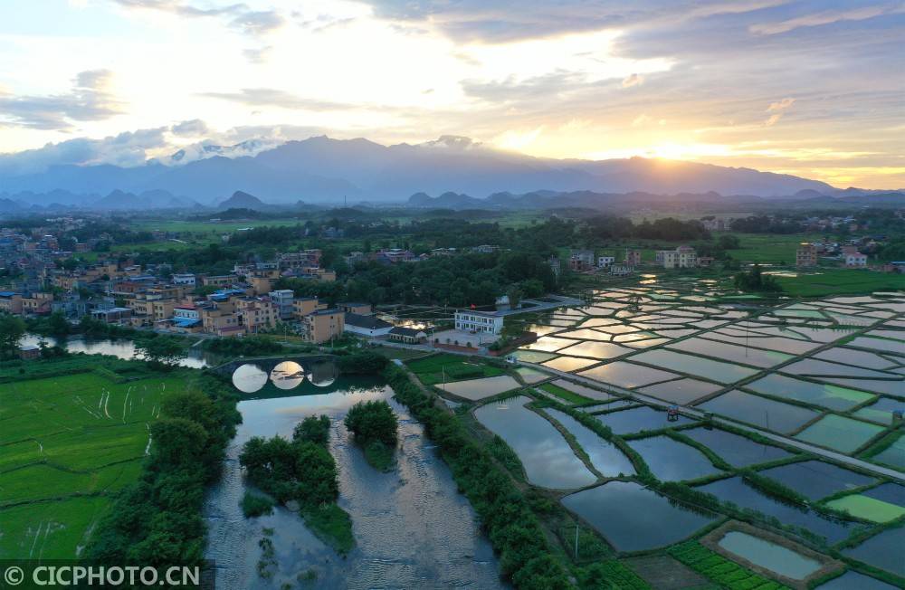 湖南道县:清清水塘致富地