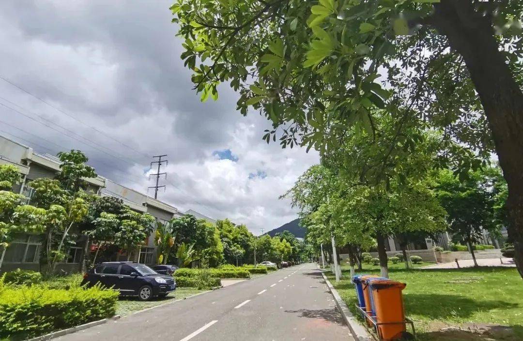 专业|厦门理工学院2020年普通高考招生章程