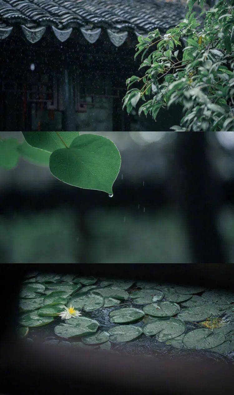 切记,千万不要触摸刚去世亲人的身体!