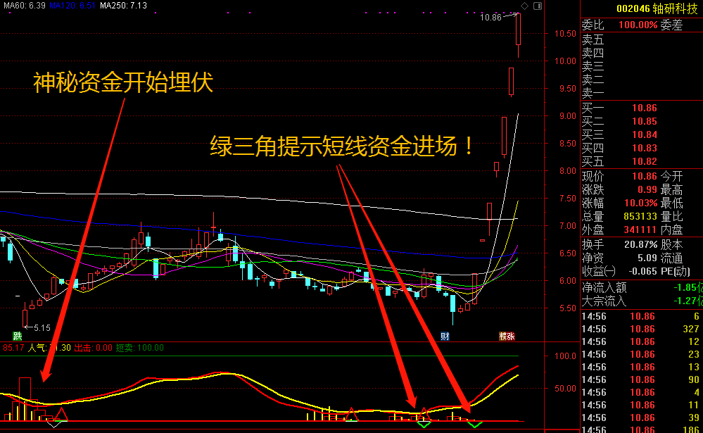 共和防水卷材-湖北宇虹防水放心品牌-app防水卷材施工