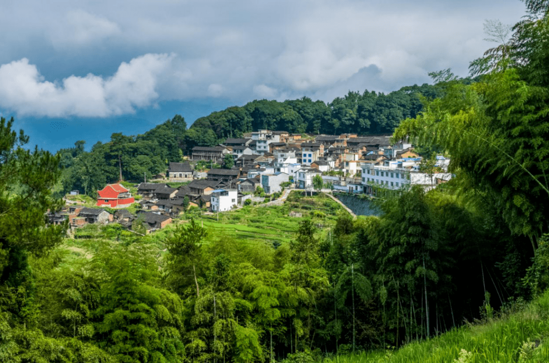 走进柘荣县英山乡半岭村,悠然自得的房车营地…童趣无穷的萌兔园