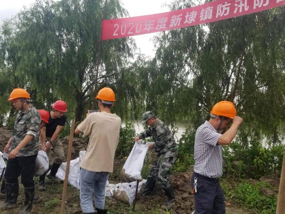 防汛防台未雨绸缪新埭镇开展防汛防台应急演练