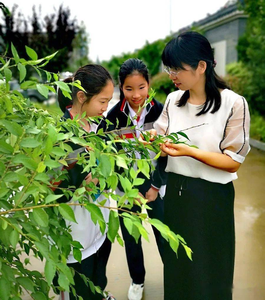 身边好老师史淑敏专注于心执着于行