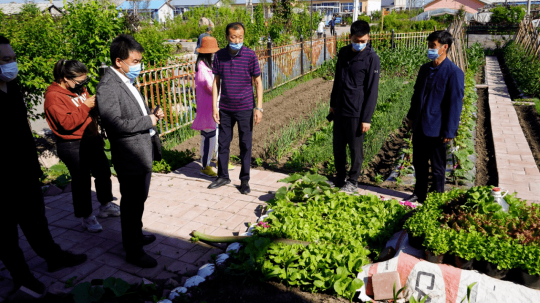 工作经验铁力市双丰镇党建四个狠抓全力推进农村人居环境卫生拉练评比