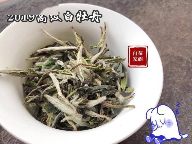 白茶排名_安吉白茶