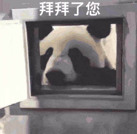 不管张雨绮暗度陈仓是真是假,反正第一期看下来,  真是颠覆了车对她的