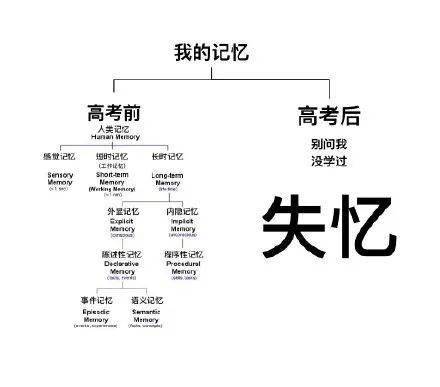 社区|还搁这儿看搞笑图？快中高考了