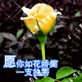 13b396f2dfeb4177b887e72ea40da239.gif