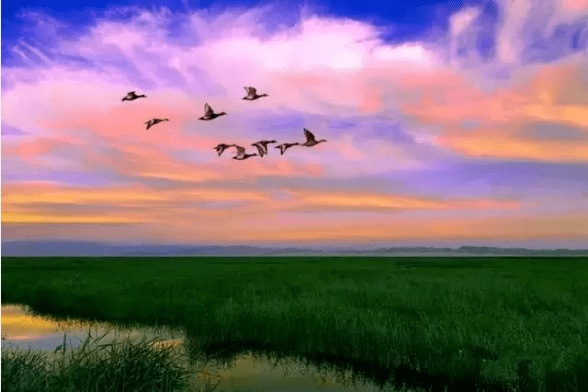私享丨繁星点点,新疆最美的夜景在这里