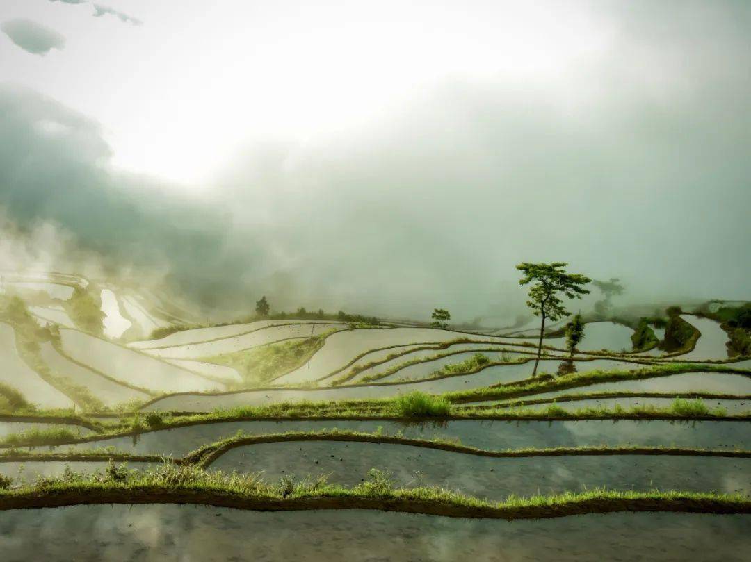 美轮美奂的北山村梯田,弯弯曲曲的山路,大小不一的梯田,已经蓄水