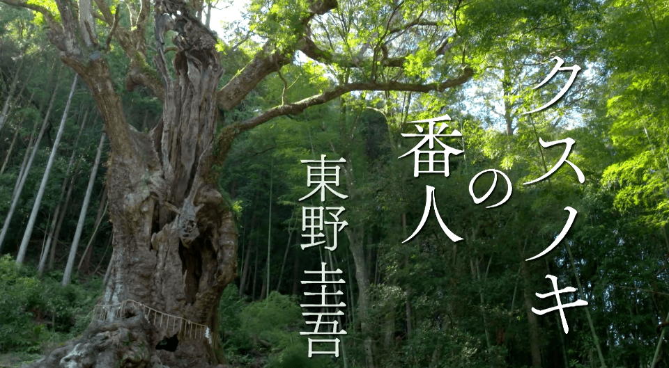 小树人口算_小树简笔画(2)