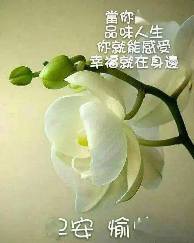 天冷了,多保重身体! 星期四,早上开心快乐!