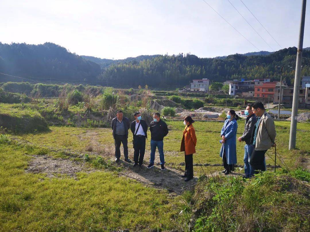 县乡人大连山禾洞镇发挥人大代表作用激活乡村振兴动能