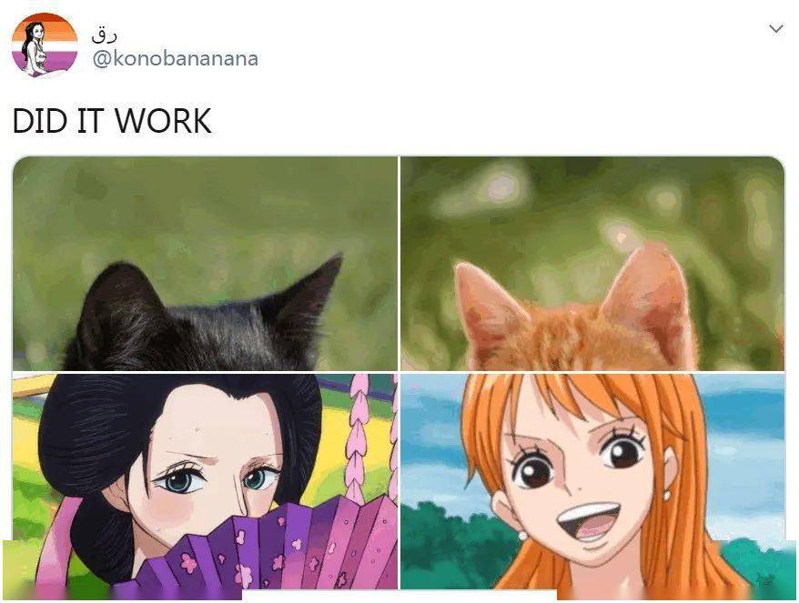 0d944a8c24a0498f8d5e0960ca8c9b4f.jpeg
