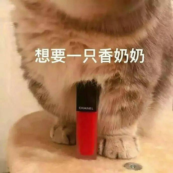 有了这组猫咪表情包,香奈儿迪奥mac等等的口红通通都会进你包里!
