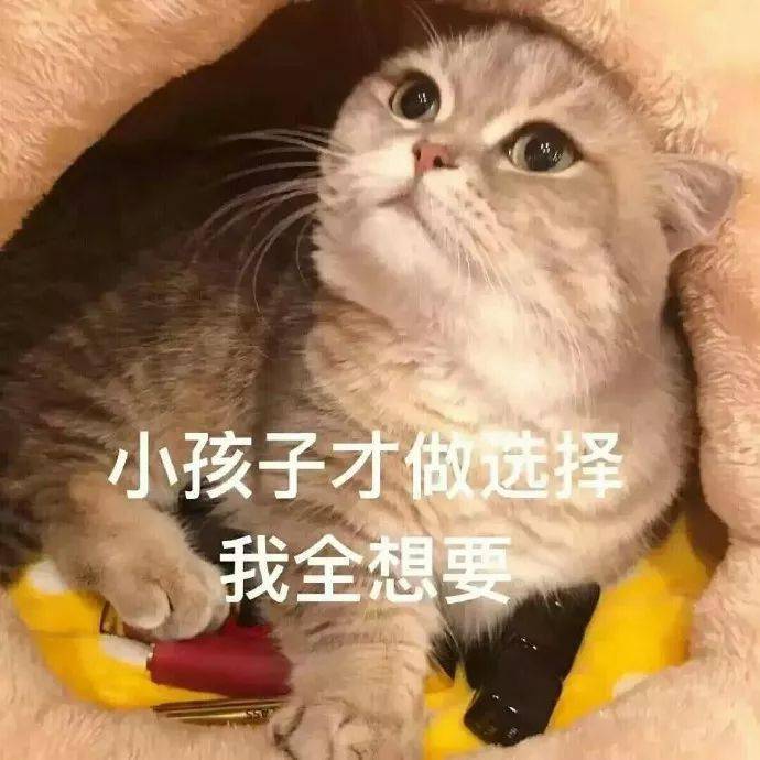 有了这组猫咪表情包,香奈儿迪奥mac等等的口红通通都会进你包里!