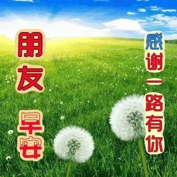 9张清晨早上祝福图片带字 微信最新早上好图集祝福说说心情