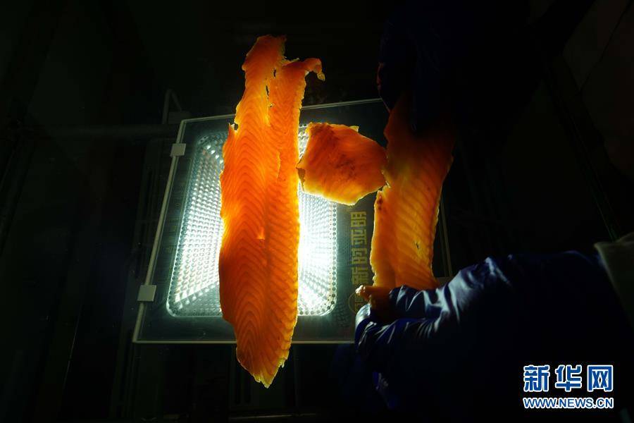 尼勒克县|天山深处牧渔乐