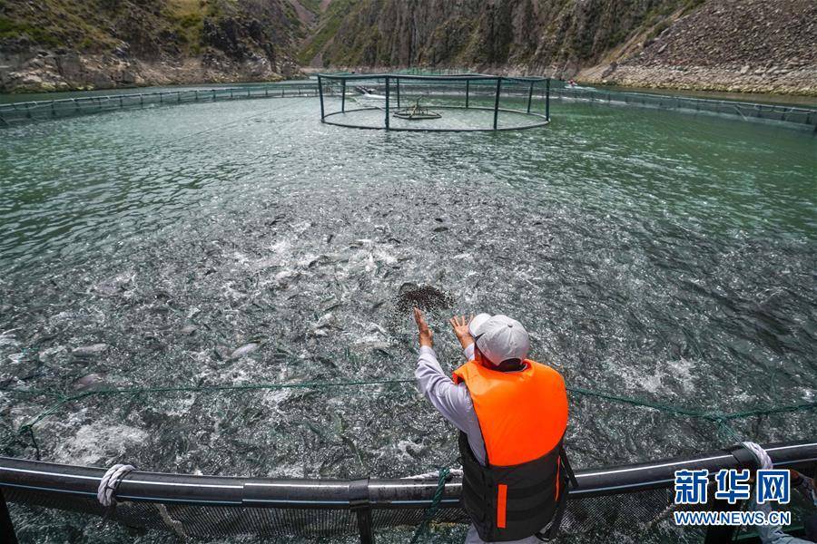 尼勒克县|天山深处牧渔乐
