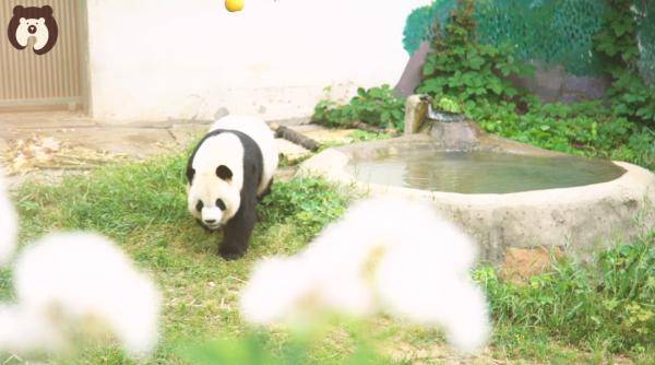 无锡|“缘大”回川，等你回来！