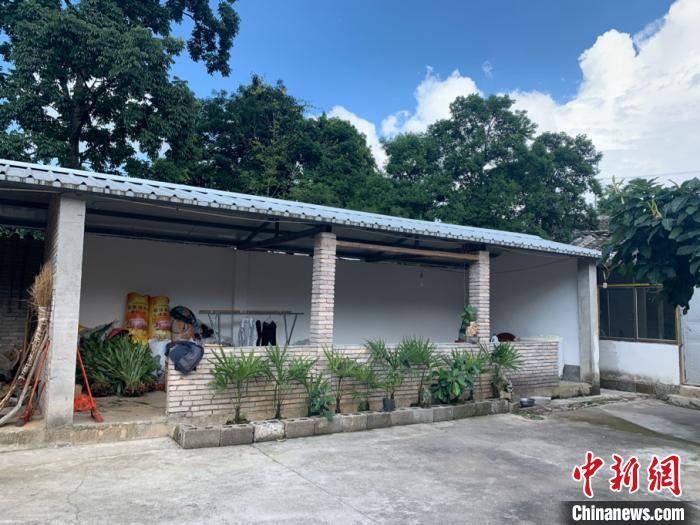 村民|云南罗平彝村人居环境改善 人畜分居后蝇蚊减少
