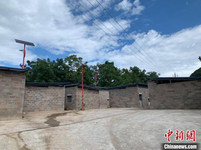 村民|云南罗平彝村人居环境改善 人畜分居后蝇蚊减少