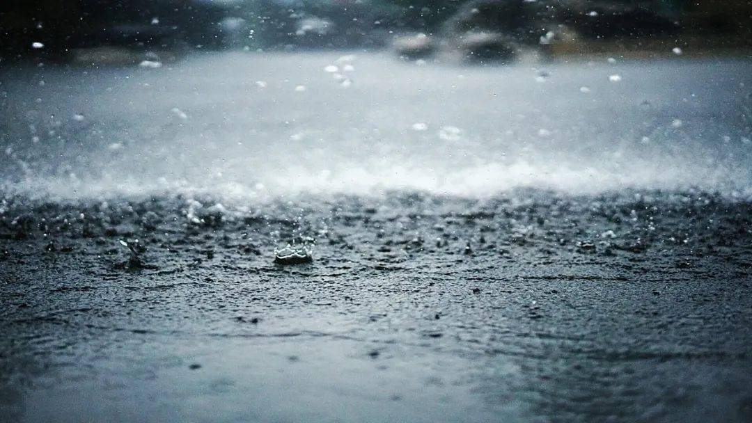 梦境之水，雨、洪水与鱼的深层寓意解析