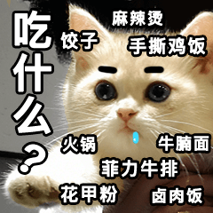 超萌小奶奶奶猫表情包撒娇必备