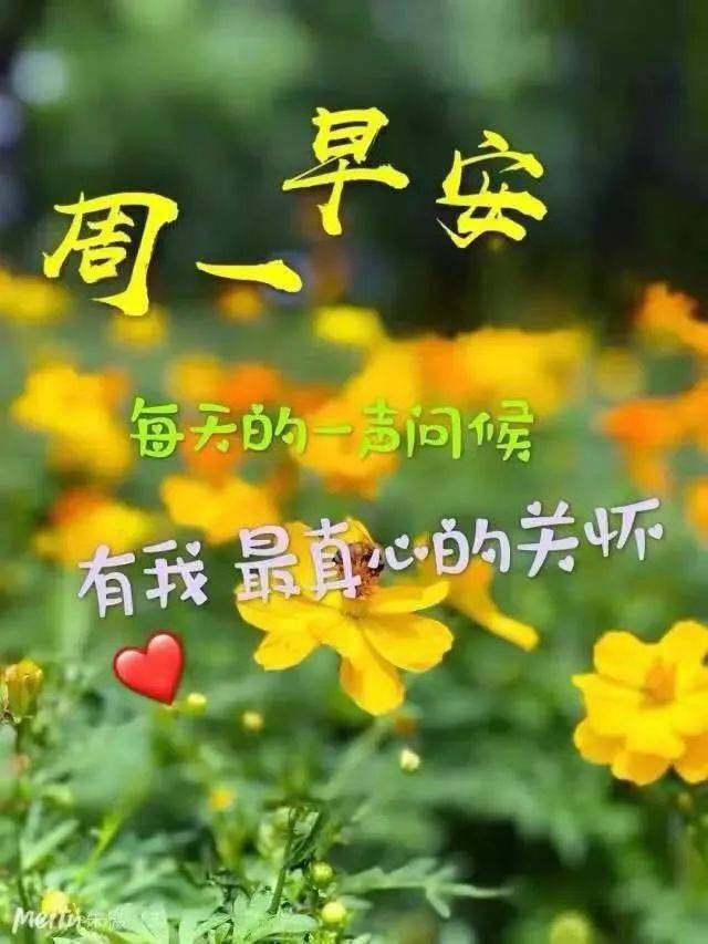 美好的一天,从清晨开始!