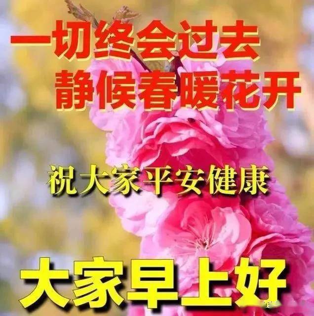 问候语简谱_早上好问候语图片(3)