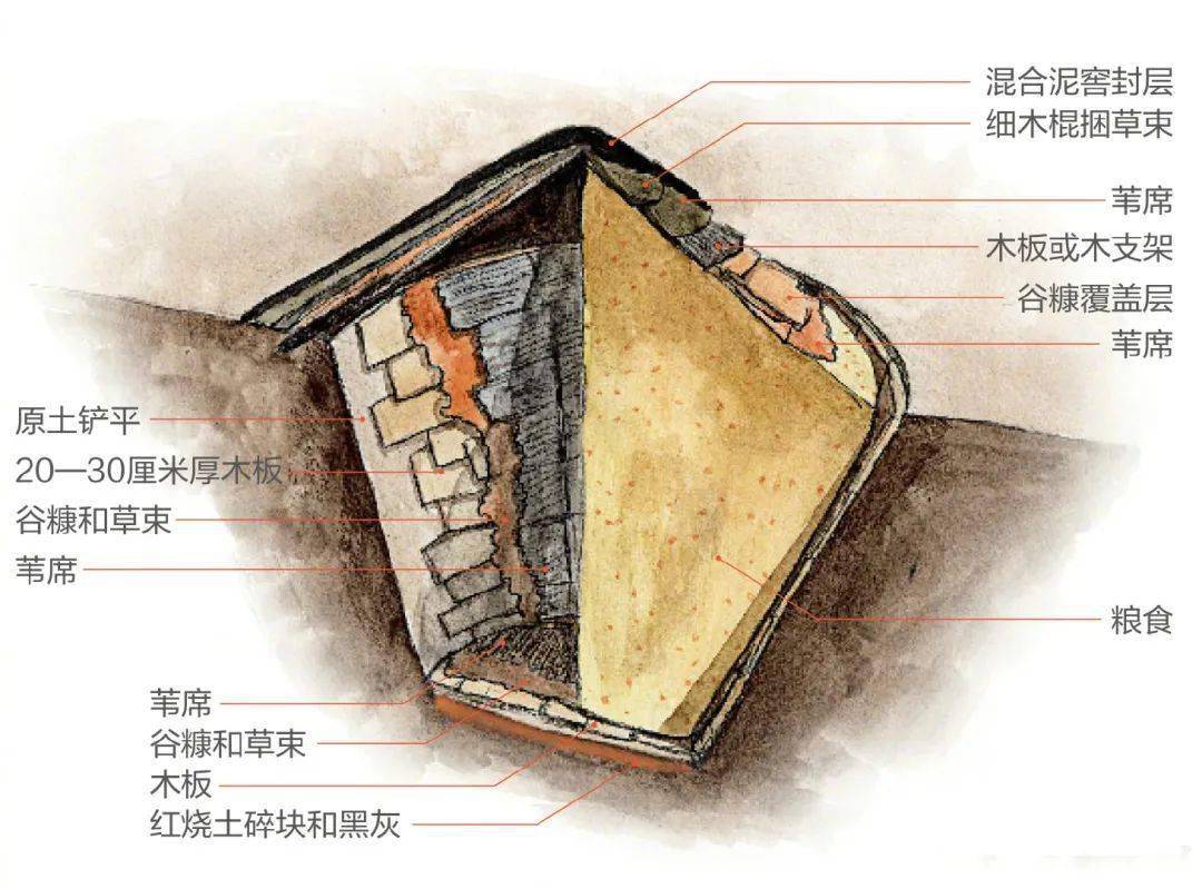 含嘉仓仓窖结构在隋唐时期,洛阳城内的粮仓有含嘉仓,常平仓,子罗仓等