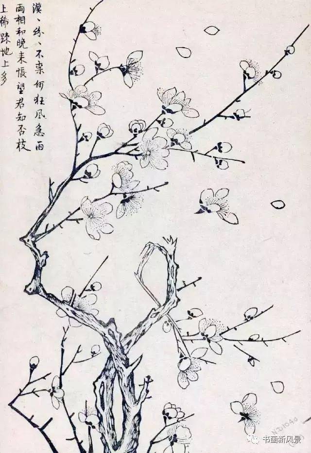 好美的梅花谱!