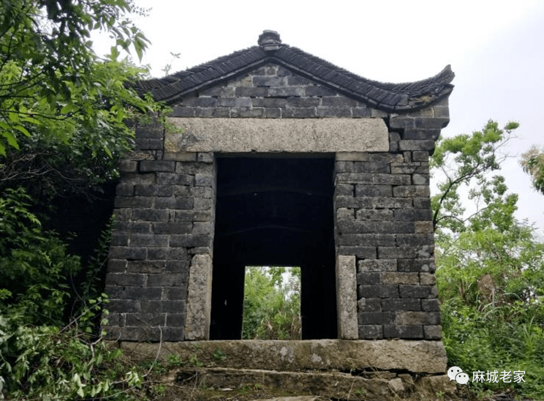 美丽乡村行雨中登山来张家畈镇感受自然森呼吸