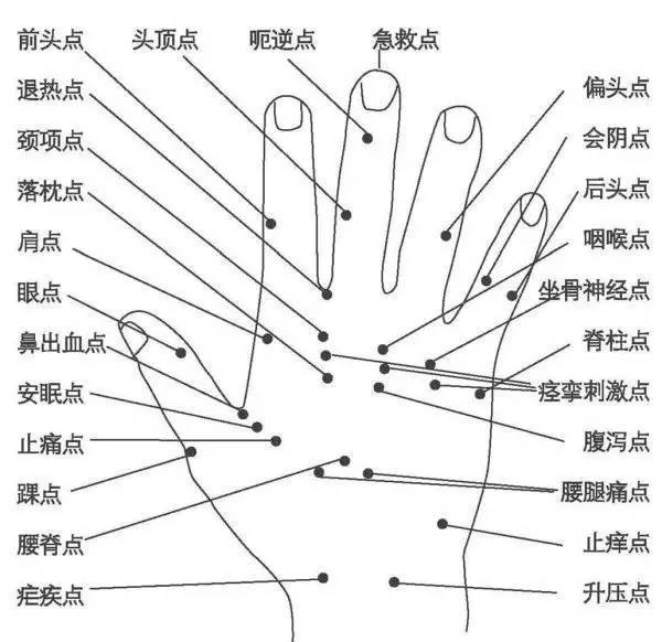 曲池简谱_儿歌简谱(2)