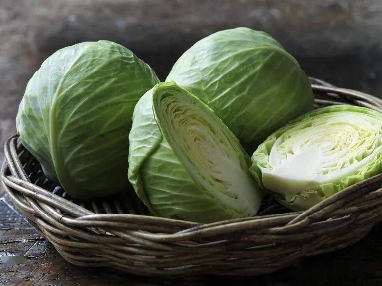 cabbage 圆白菜