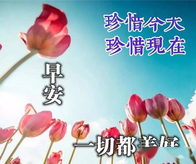 人生如棋简谱_人生如棋图片(4)