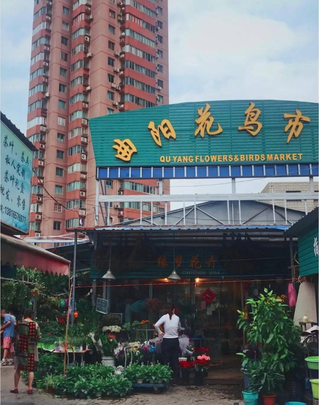 《2020上海花鸟市场地图》，有你去过的吗？_via