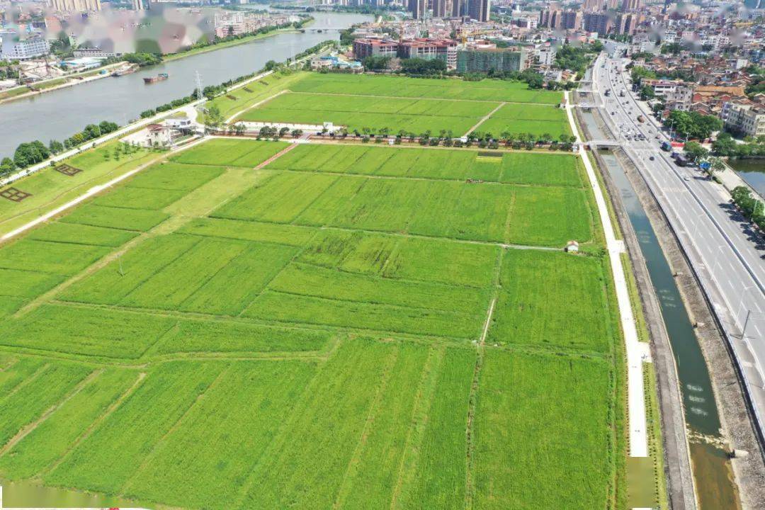 严守耕地红线"主题 mv的拍摄地点特别选在了  茶山镇上元