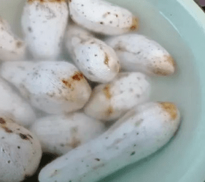 什么食物能解决睡眠 6fdcdcf45e90411d916f5cc04767694d.png