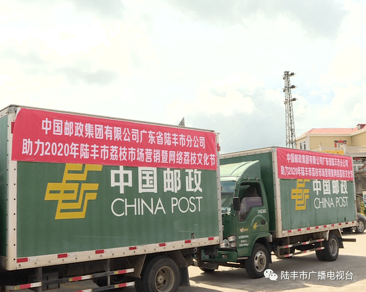 陆丰市举办2020年荔枝市场营销暨网络荔枝文化节