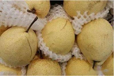 各大省份的特产 27ee4e3a639046e483273cedb6625cf2.jpeg