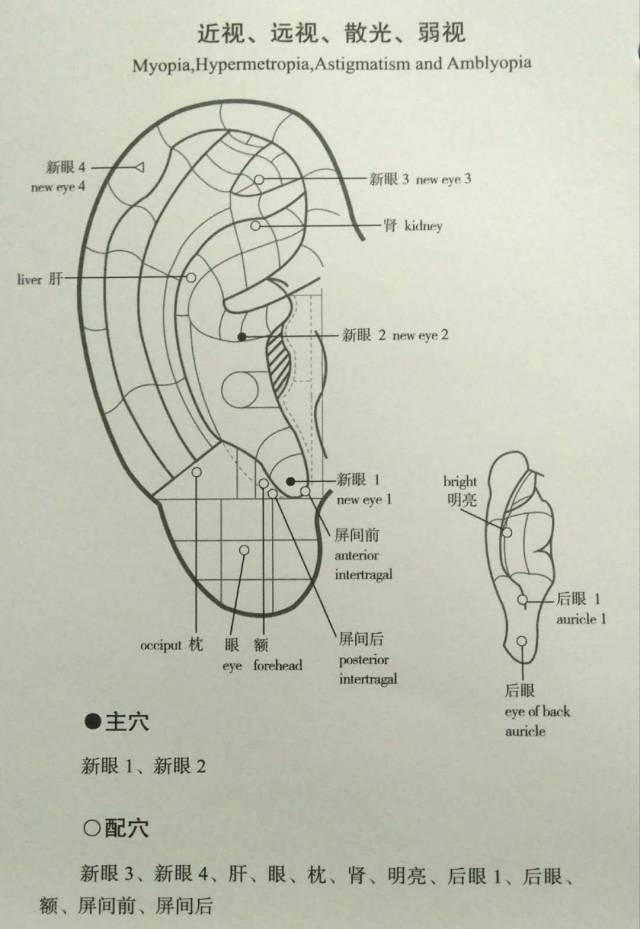 耳诊笔记总结(一位中医名师的多年心得)