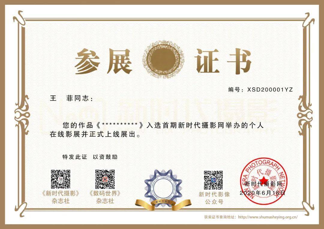 正式启动新时代摄影网在线影展申办程序