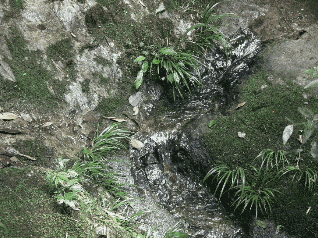 水到绝处是风景,人到绝境是重生