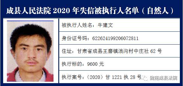 成县人民法院关于公布失信被执行人名单限制高消费名单的公告2020年第