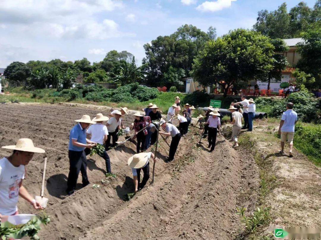 市关工委在濠江区设立青少年劳动实践基地