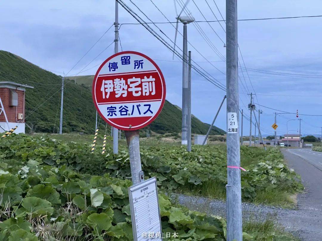 &|今日趣闻 竭尽全力给饲养员添堵的海狮 & 北海道特有的风景 等